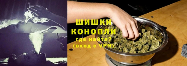 PSILOCYBIN Беломорск