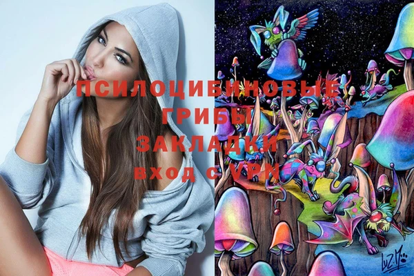 PSILOCYBIN Беломорск