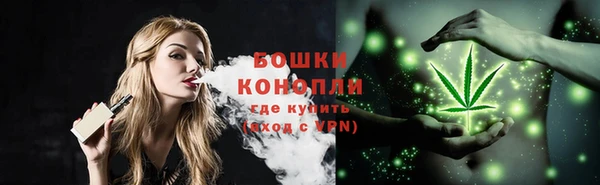 PSILOCYBIN Россошь