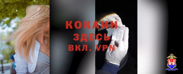бошки Белокуриха