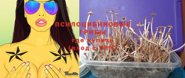 молекула духа Белоозёрский