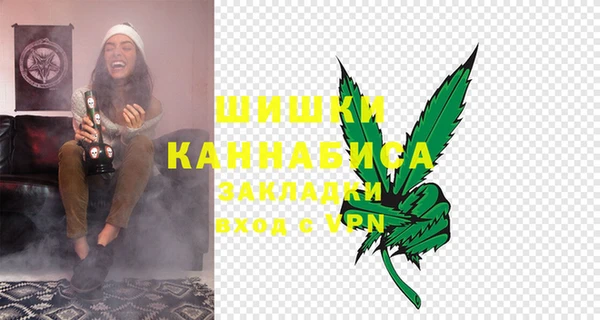 бошки Белокуриха