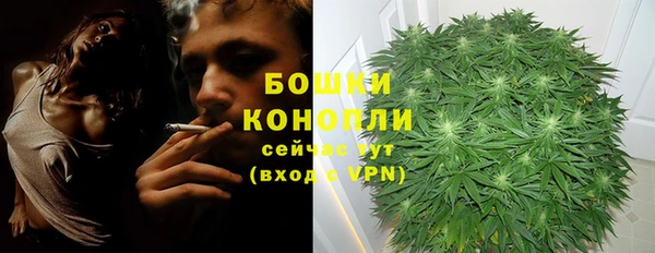 бошки Белокуриха