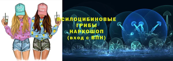 бошки Белокуриха