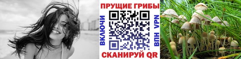 Галлюциногенные грибы MAGIC MUSHROOMS  наркотики  Севск 